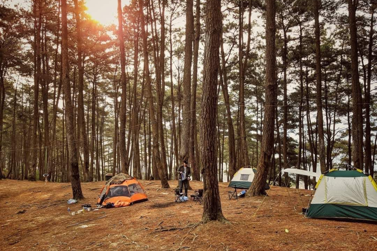 Tents set up in Yen Minh Pine Forest with sunrise in the background